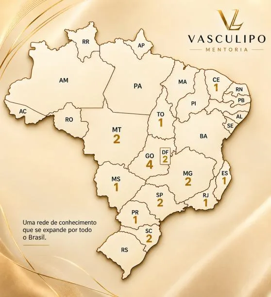 Mapa do Brasil com os estados de origem dos médicos que já participaram da mentoria Vasculipo
